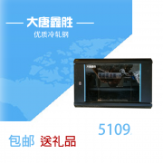 大唐鑫胜5109图腾机柜 9u 0.5米壁挂 小机柜 网络机柜落地