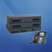 AVAYA IPO500 语音程交换机
