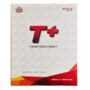 用友软件用友财务软件用友T+普及版12.0普及帐表 （总账+报表）1站点 单机版 1用户