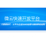 中德福林 中德微云快速开发平台
