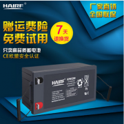 海瑞弗 免维护蓄电池12V200Ah铅酸蓄电池电瓶UPS后备电源