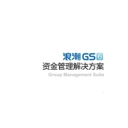 浪潮 GS6资金管理解决方案