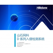 山石 网科 D 系列入侵检测系统
