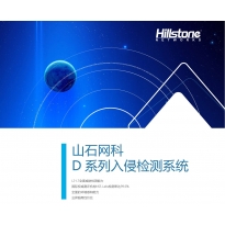 山石 网科 D 系列入侵检测系统