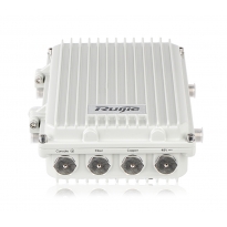 锐捷网络 RG-AP620-H(C)室外802.11n无线接入点