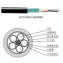 施耐德 施耐德Actassi-室外轻铠光缆（松套层绞式）